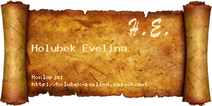 Holubek Evelina névjegykártya